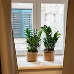 Velut Bokun Lägenhet Dubrovnik