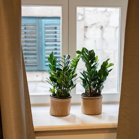 Velut Bokun Daire Dubrovnik