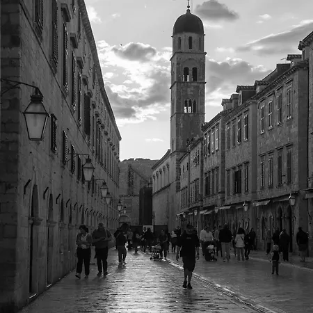 Velut Bokun * Dubrovnik